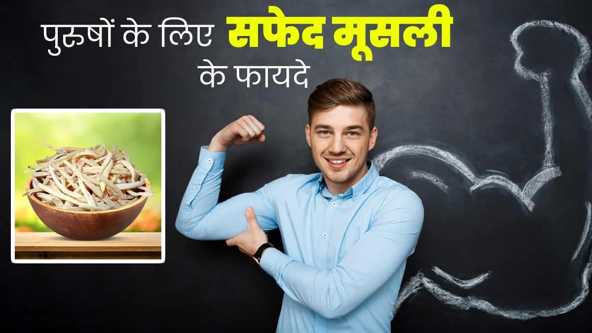 पुरुष अपनी डाइट में जरूर शामिल करें सफेद मूसली, सेहत को मिलेंगे ये 4 फायदे
