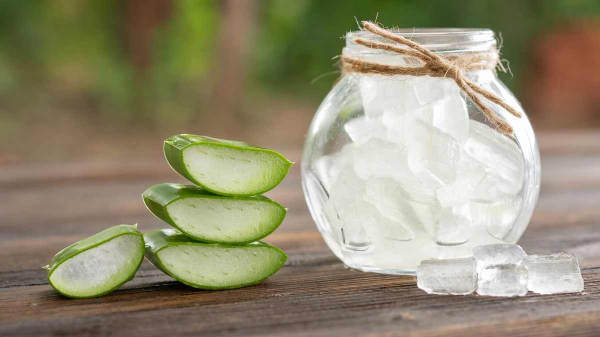 aloevera gel for skin aloevera-winter-skin-care-inside