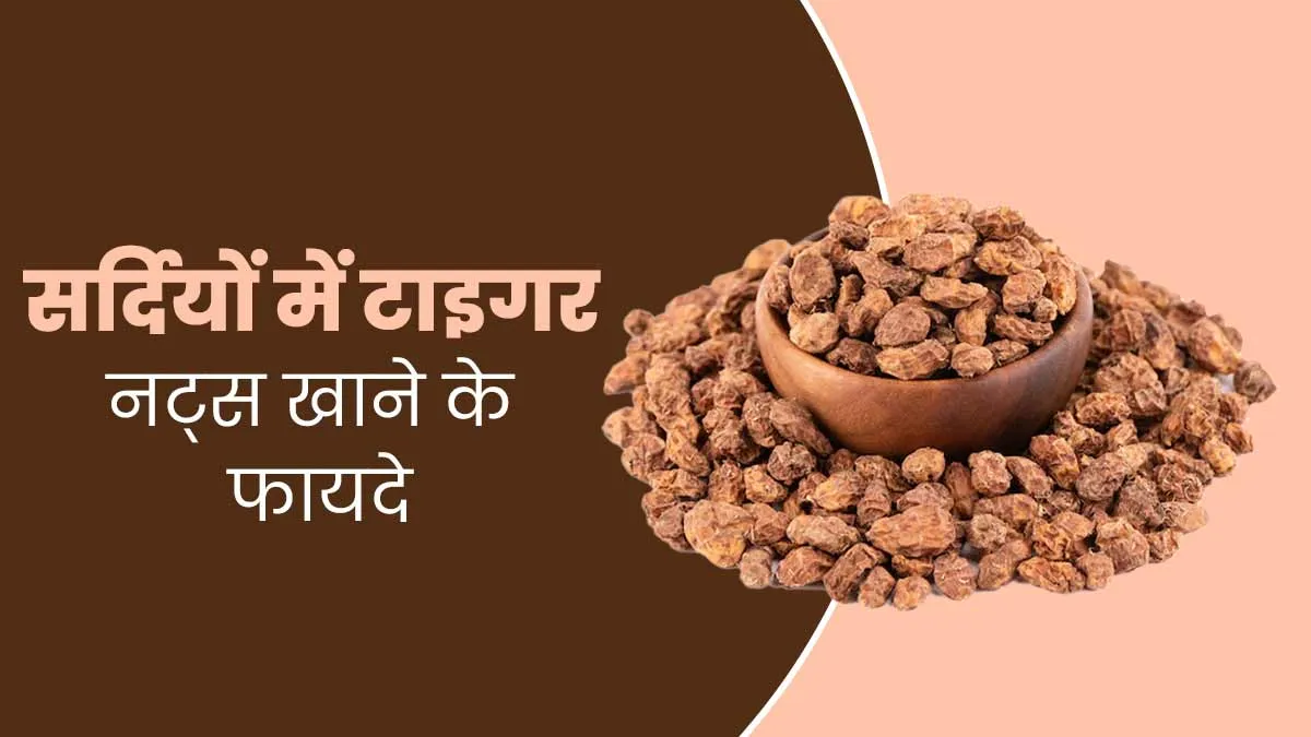 सर्दियों में टाइगर नट्स खाने से सेहत को मिलते हैं ये 7 फायदे,  डाइट में जरूर करें शामिल