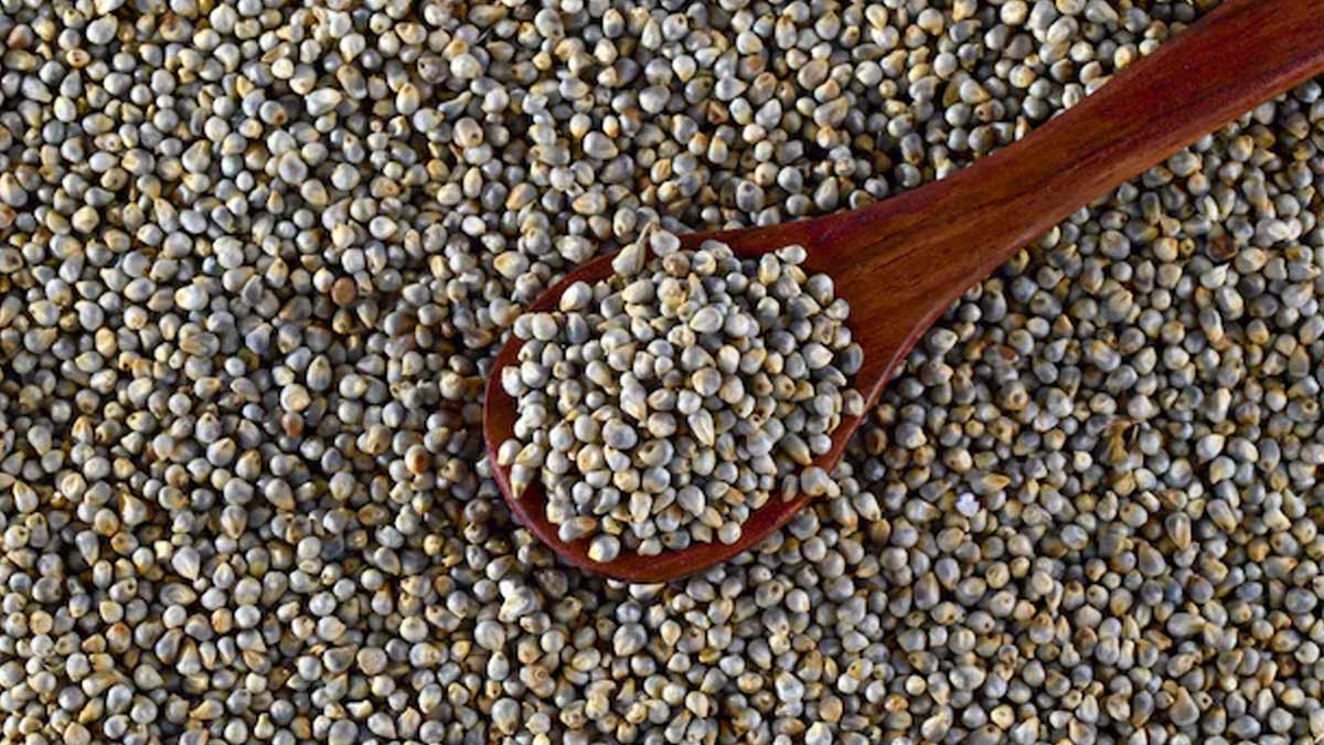 Who Should avoid Bajra