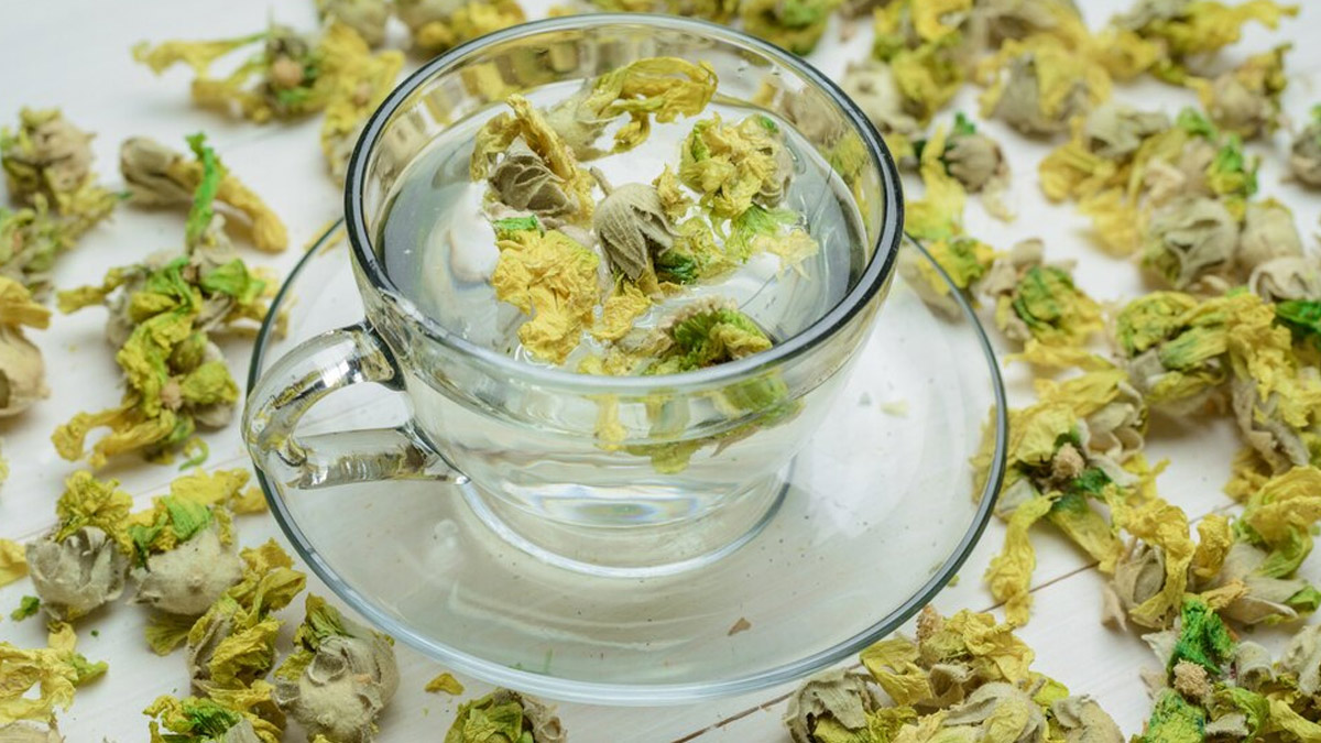 jasime-tea-in-pregnancy-inside