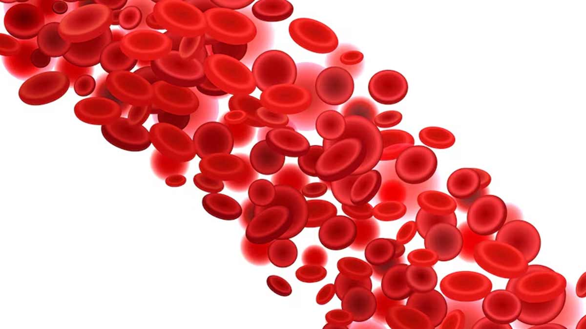 symptoms of thrombocytopenia 01
