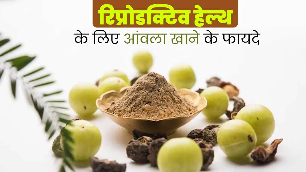 आंवला कैसे आपकी प्रजनन क्षमता बढ़ाने में मदद कर सकता है, जानें आयुर्वेदिक एक्सपर्ट से