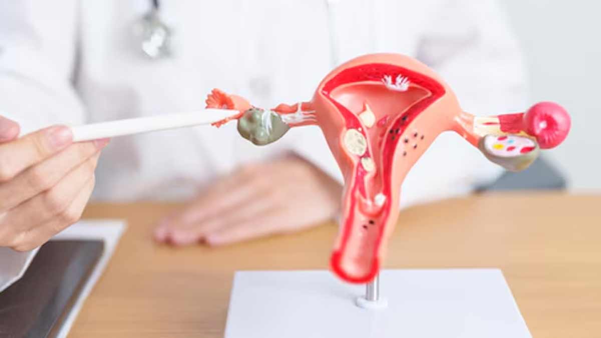 01 - 2024-11-30T102732.086