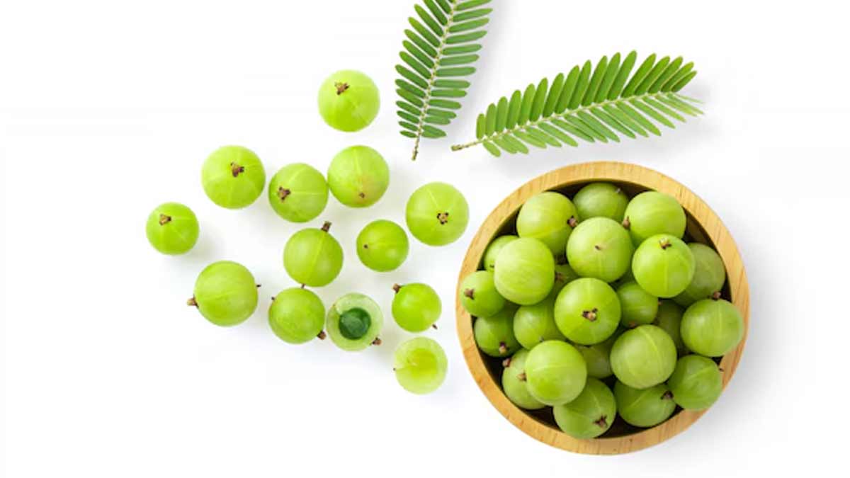 inside-amla-for-reproductive-health