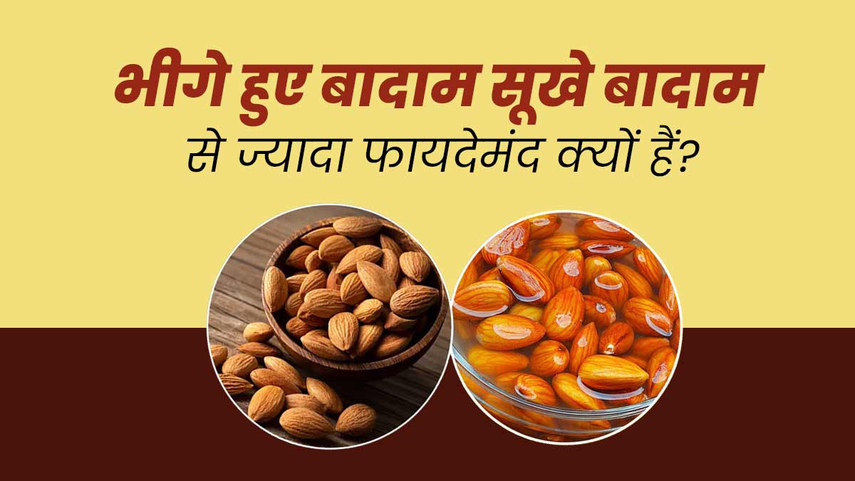 भीगे हुए बादाम सूखे बादाम से ज्यादा फायदेमंद क्यों हैं? जानें एक्सपर्ट से
