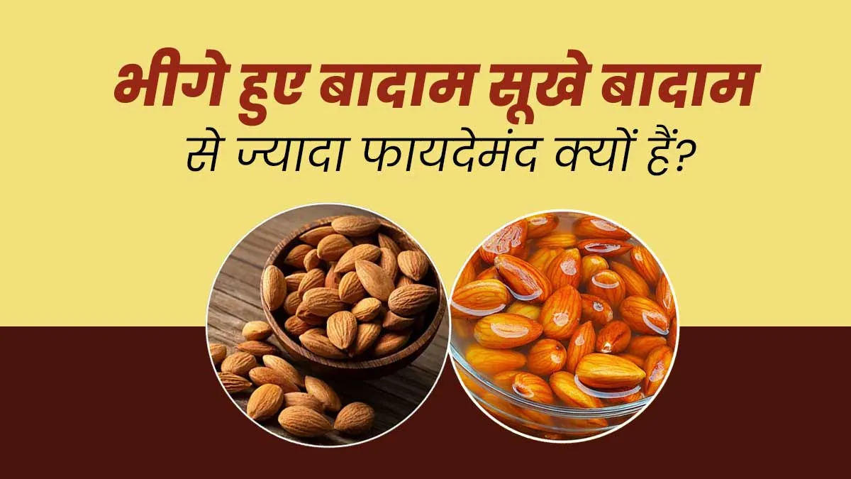 भीगे हुए बादाम सूखे बादाम से ज्यादा फायदेमंद क्यों हैं? जानें एक्सपर्ट से