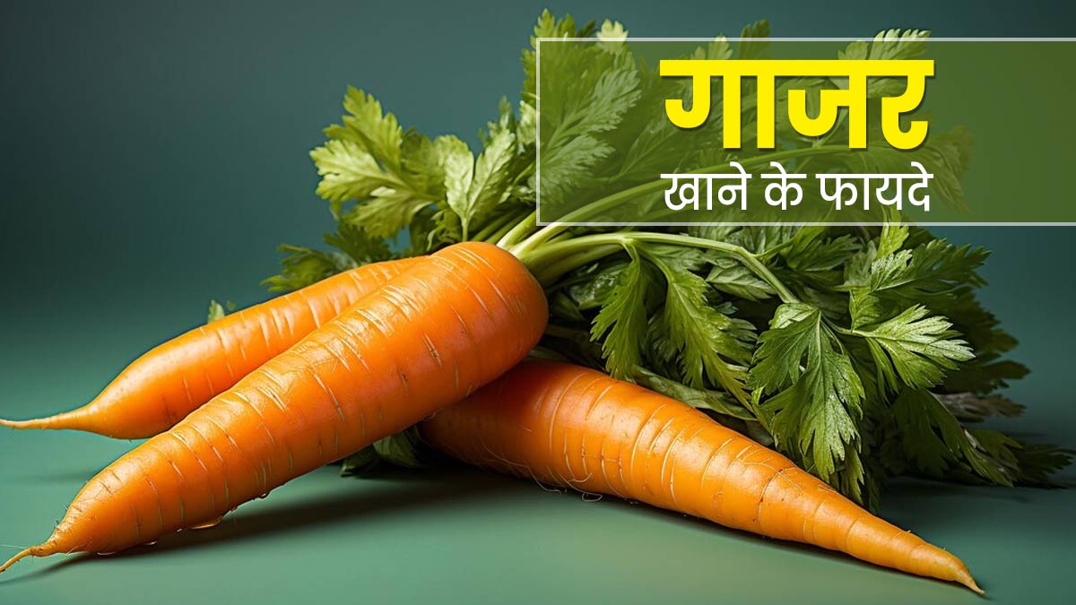 पेट की समस्या रहती है तो सर्दि‍यों में खाएं गाजर, कब्‍ज और एस‍िड‍िटी से म‍िलेगी राहत