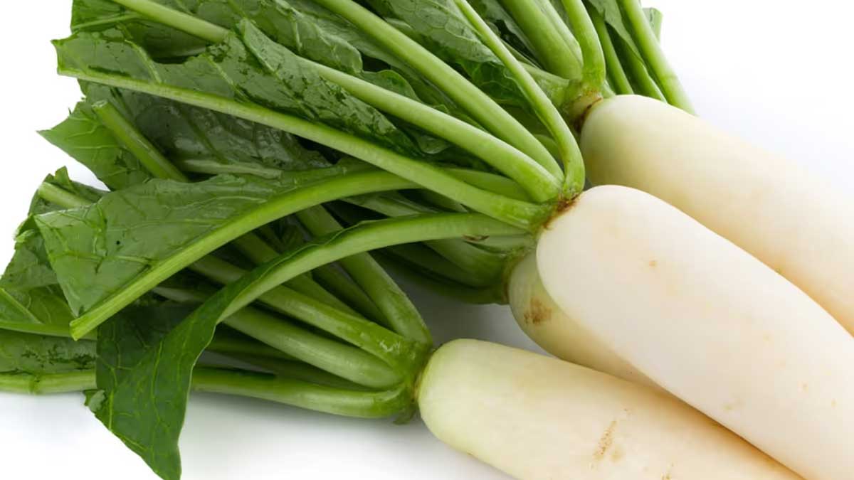 radish-benefits-during-diabetes-in