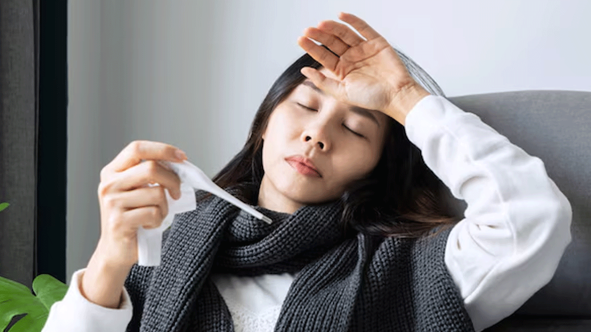 fever malaria--inside