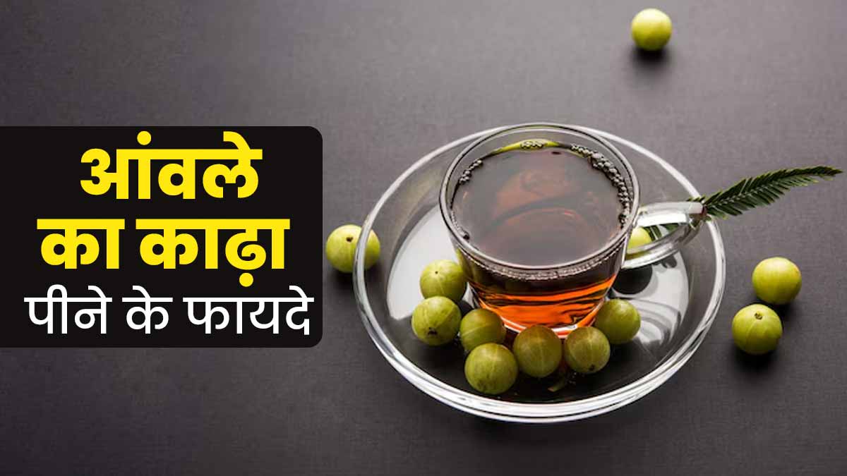 आंवले का काढ़ा पीकर दूर करें सर्दी-जुकाम और गले की खराश जैसी 6 समस्‍याएं, जानें रेस‍िपी