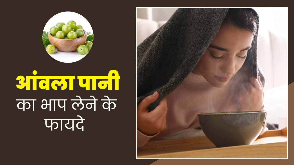 सर्दि‍यों में जरूर लें आंवला पानी का भाप, दूर होगी सर्दी-जुकाम और गले में खराश जैसी 8 समस्‍याएं