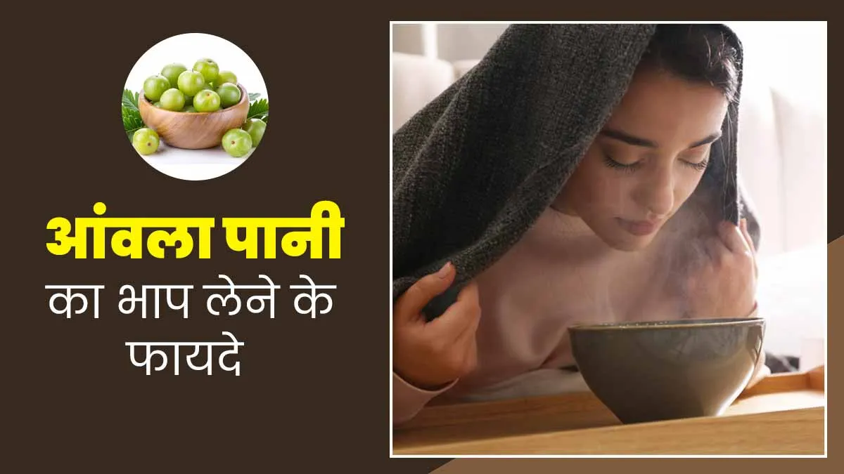 सर्दि‍यों में जरूर लें आंवला पानी का भाप, दूर होगी सर्दी-जुकाम और गले में खराश जैसी 8 समस्‍याएं