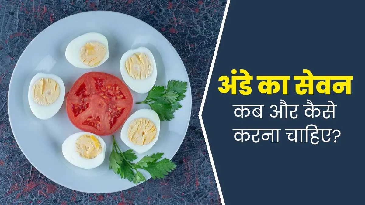 आयुर्वेद के अनुसार अंडे का सेवन कब और कैसे करना चाहिए? जानें एक्सपर्ट से