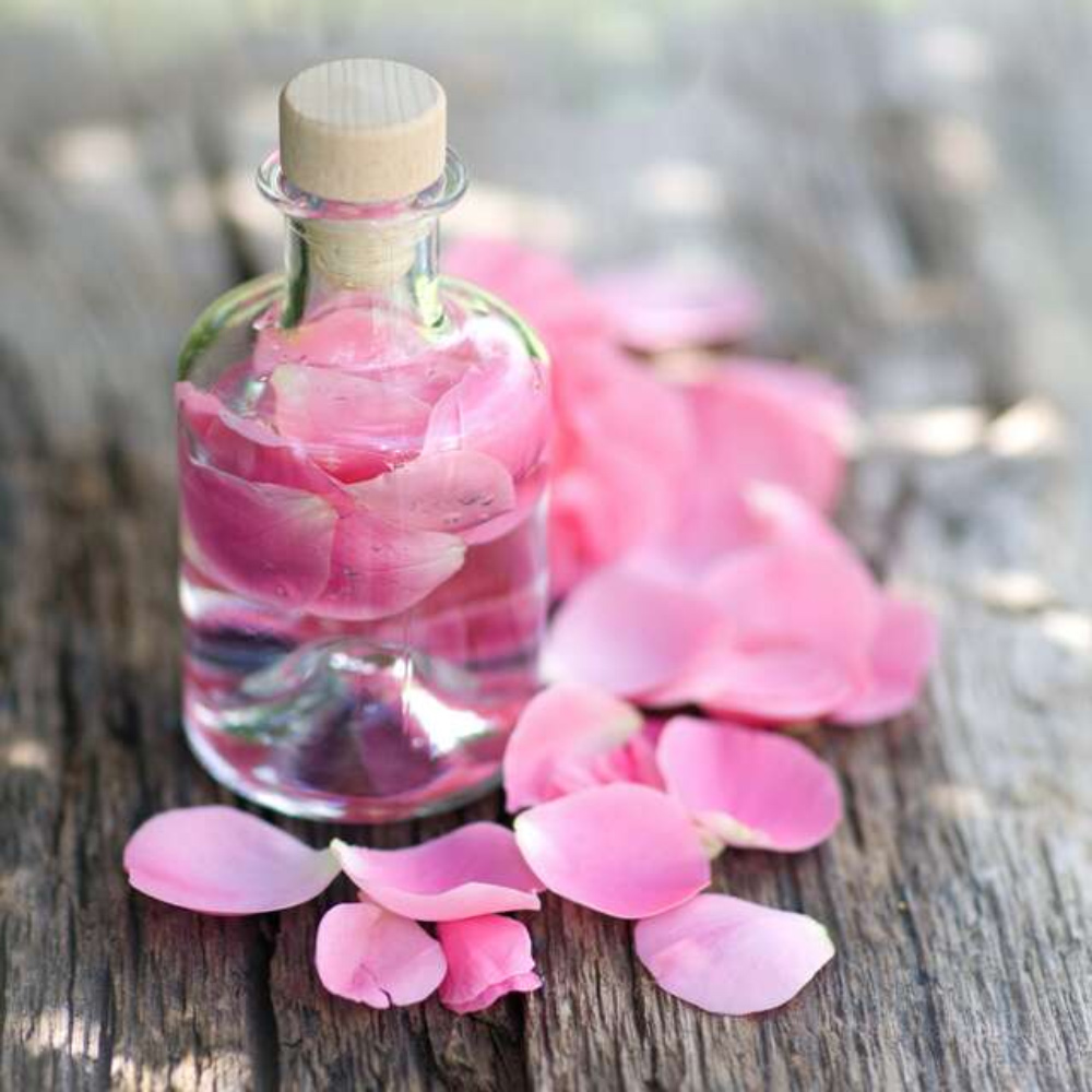 rose water rose-water-for-winters-inside4