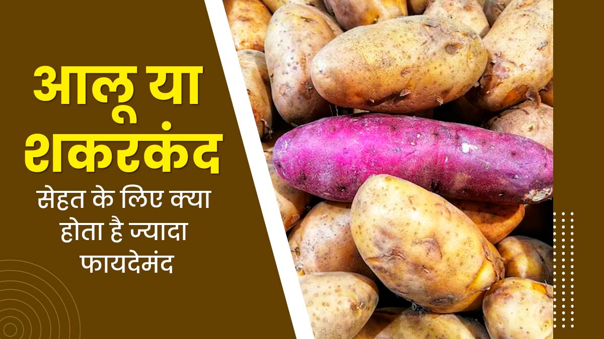 आलू या शकरकंद: सेहत के लिए क्या होता है ज्यादा फायदेमंद? जानें इनमें मौजूद पोषक तत्व