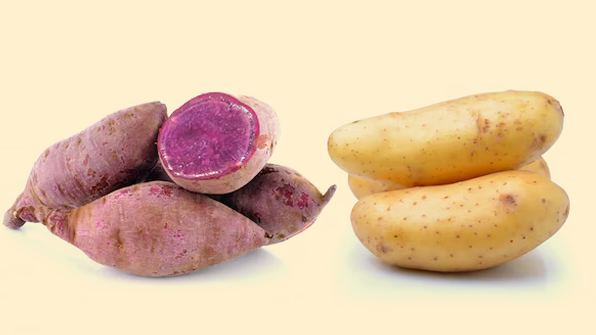 Sweet Potato Vs Potato Health Benefits