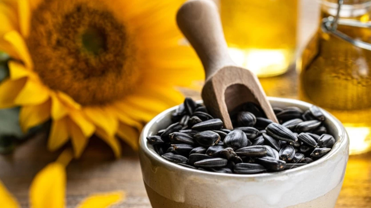 सूरजमुखी या अलसी के बीज: सर्दियों में सेहत के लिए क्या होता है ज्यादा फायदेमंद? एक्सपर्ट से जानें