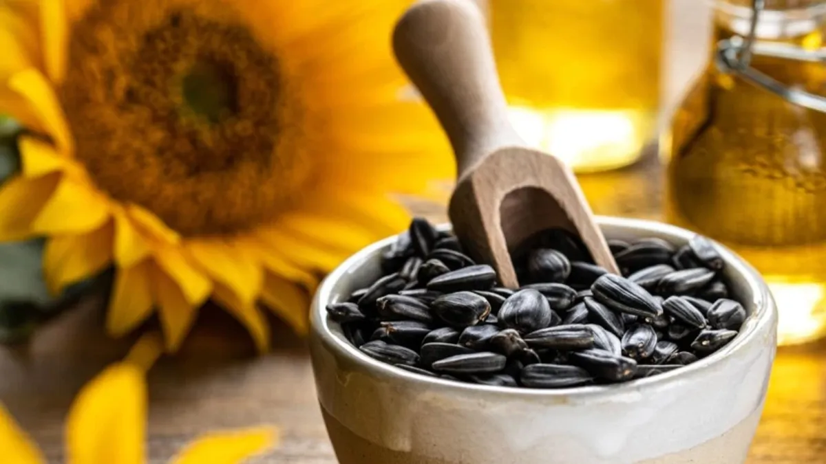 सूरजमुखी या अलसी के बीज: सर्दियों में सेहत के लिए क्या होता है ज्यादा फायदेमंद? एक्सपर्ट से जानें