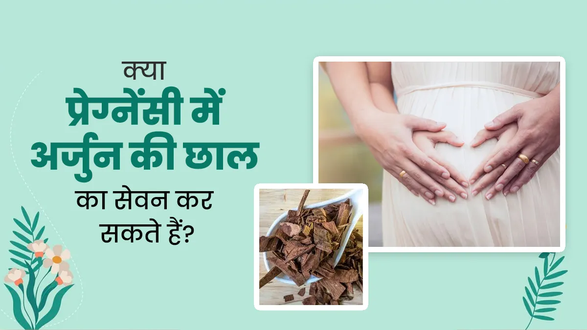 क्या प्रेग्नेंसी में अर्जुन की छाल का सेवन कर सकते हैं? जानें आयुर्वेदाचार्य से