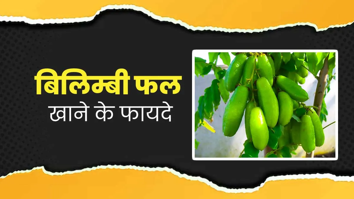 बिलिम्बी फल खाने से सेहत को मिलते हैं ये 5 फायदे, डाइट में जरूर करें शामिल
