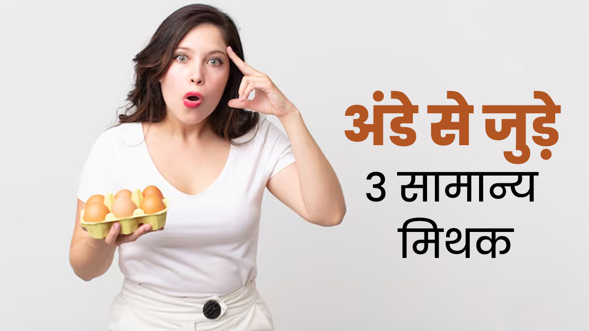 अंडों से जुड़े इन 3 मिथकों पर अक्सर लोग करते हैं भरोसा, जानें इनकी सच्चाई