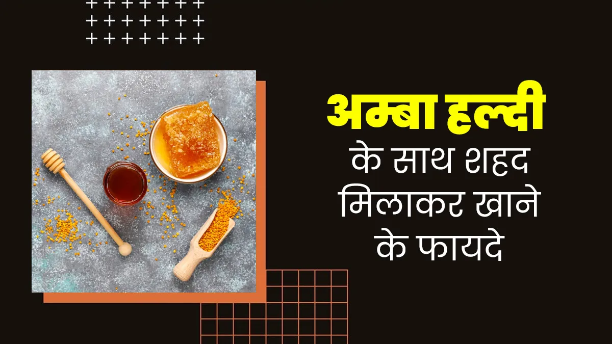 अम्बा हल्दी के साथ शहद खाने से मिलते हैं ये 5 फायदे, जानें इनके बारे में