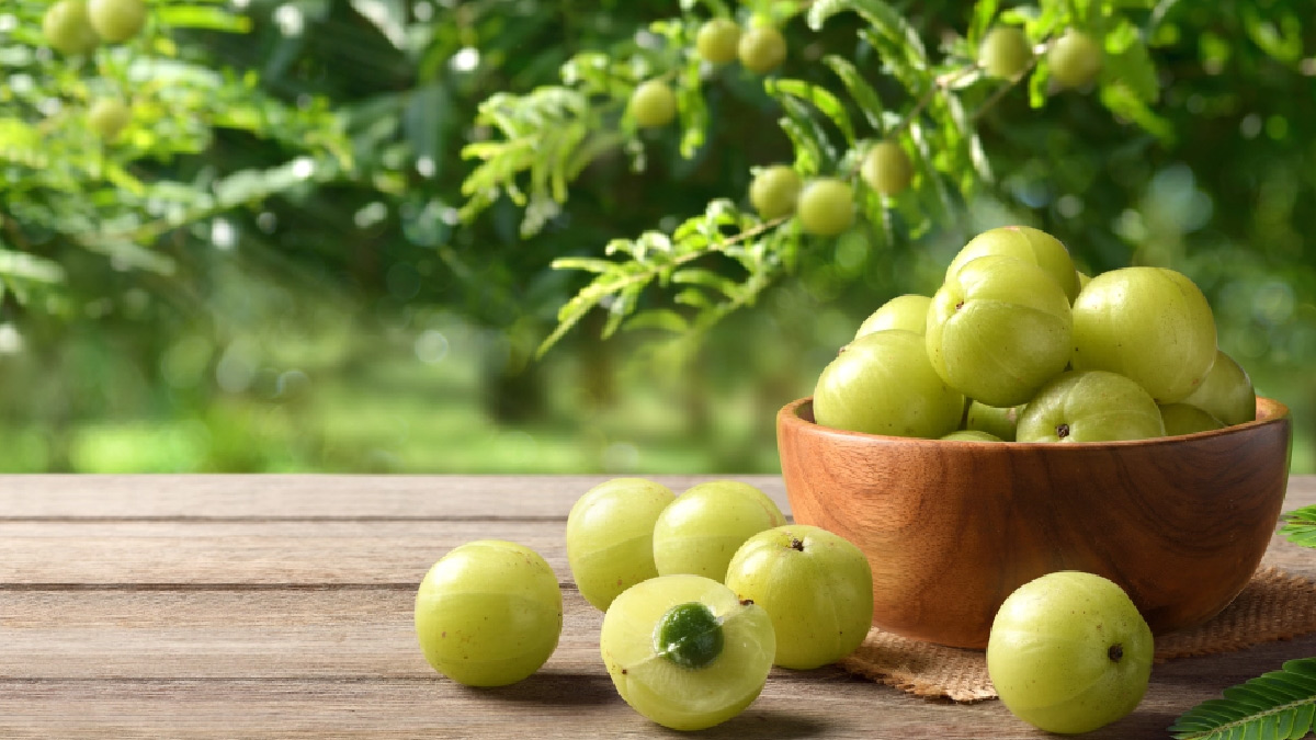 amla-for-grey-hair-inside