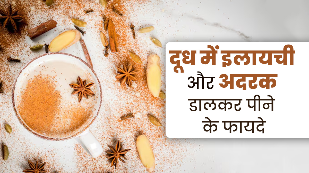 दूध में इलायची और अदरक डालकर पीने से मिलते हैं ये फायदे, जानें एक्सपर्ट से