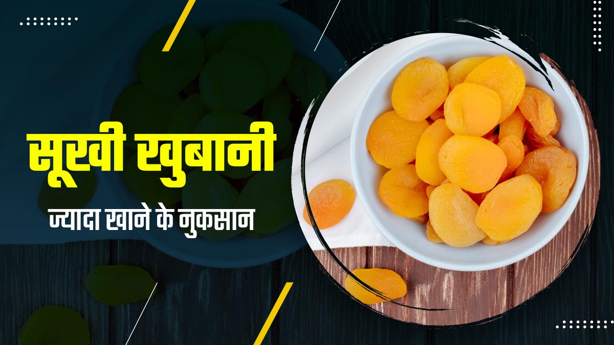 सूखी खुबानी ज्यादा खाने से सेहत को हो सकते हैं ये 5 नुकसान, सीमित मात्रा में करें सेवन