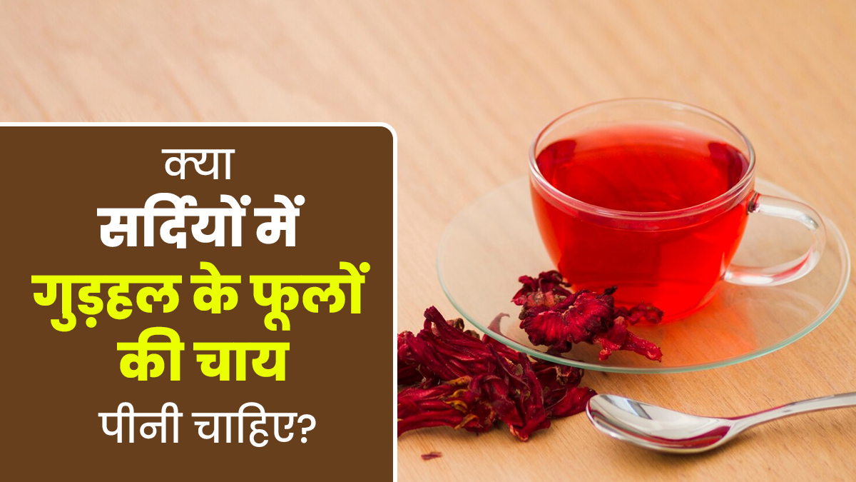 क्या सर्दियों में गुड़हल के फूलों की चाय पीना फायदेमंद है? जानें एक्सपर्ट से