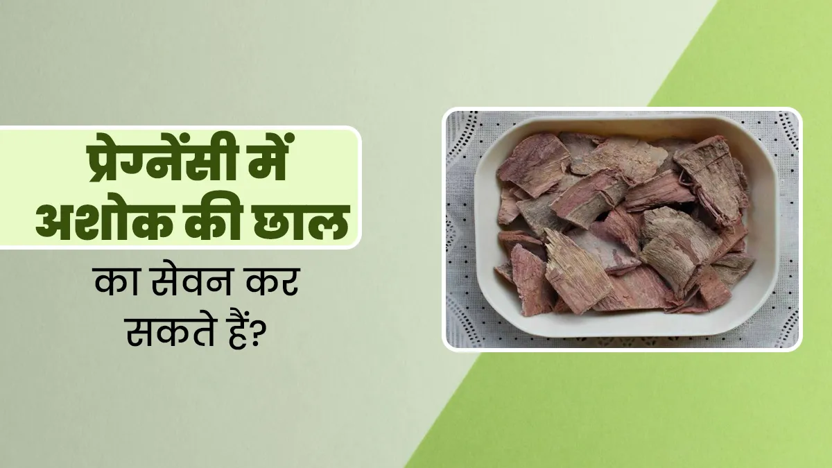 क्या प्रेग्नेंसी में अशोक की छाल का सेवन कर सकते हैं? जानें एक्सपर्ट की राय