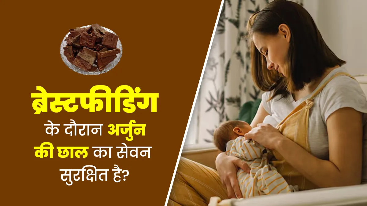 क्या स्तनपान कराने वाली महिलाएं अर्जुन की छाल का सेवन कर सकती हैं? जानें आयुर्वेदाचार्य से