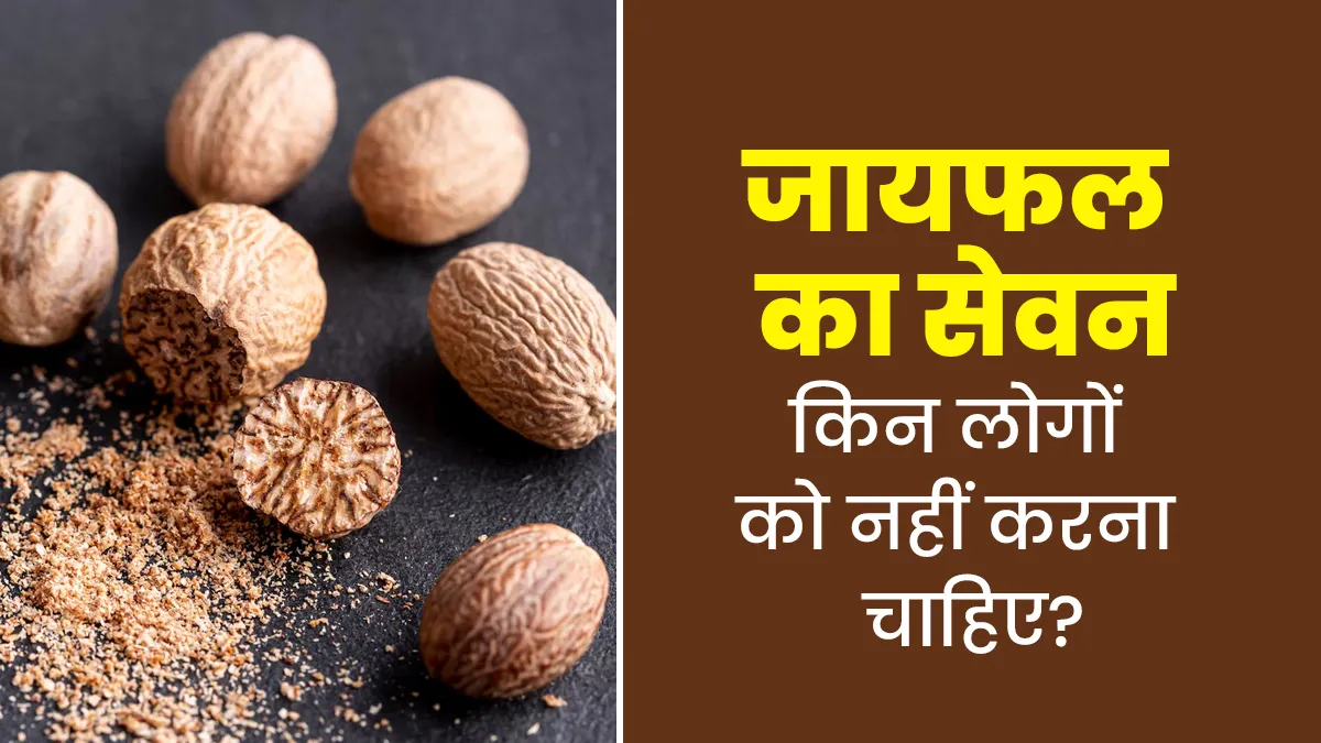 जायफल का सेवन किन लोगों को नहीं करना चाहिए? आयुर्वेदिक एक्सपर्ट से जानें