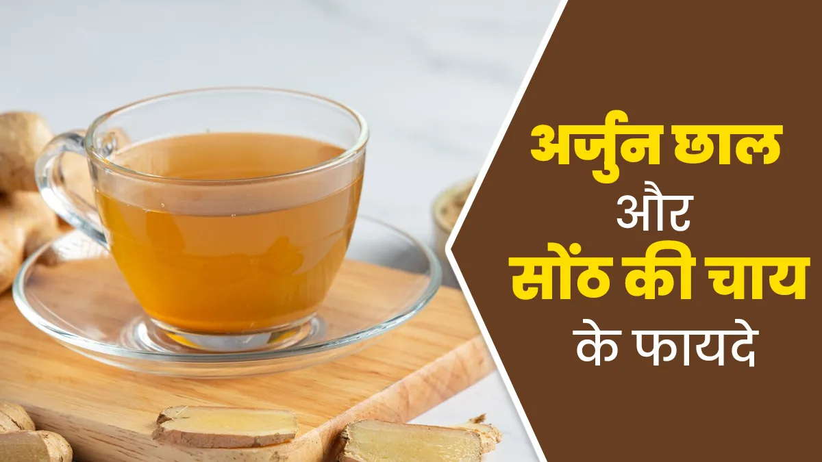अर्जुन की छाल और सोंठ से बनाएं चाय, जानें पीने का सही तरीका और फायदे
