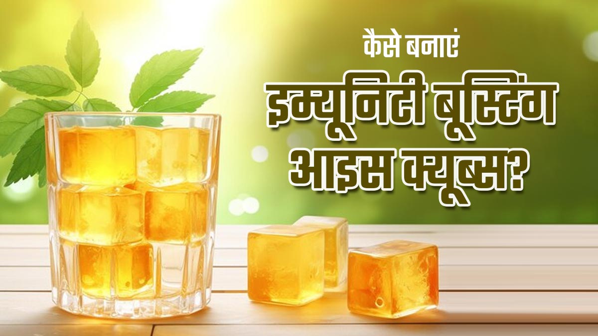 सर्दी-जुकाम जैसी समस्याओं के लिए घर पर बनाएं इम्यूनिटी बूस्टिंग आइस क्यूब्स, जानें रेसिपी