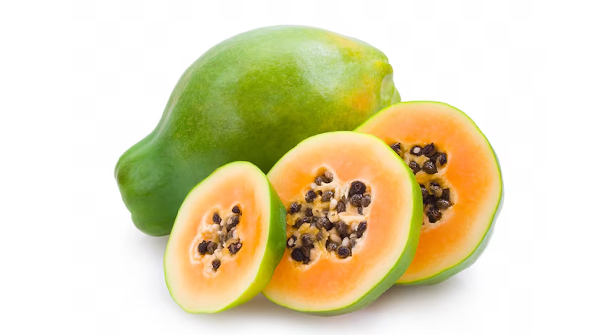 01 - 2024-12-17T171206.381