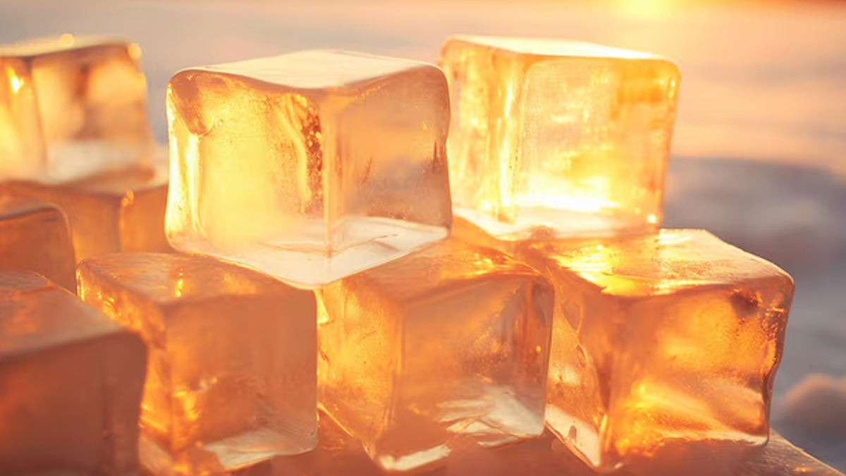 immunity boosting