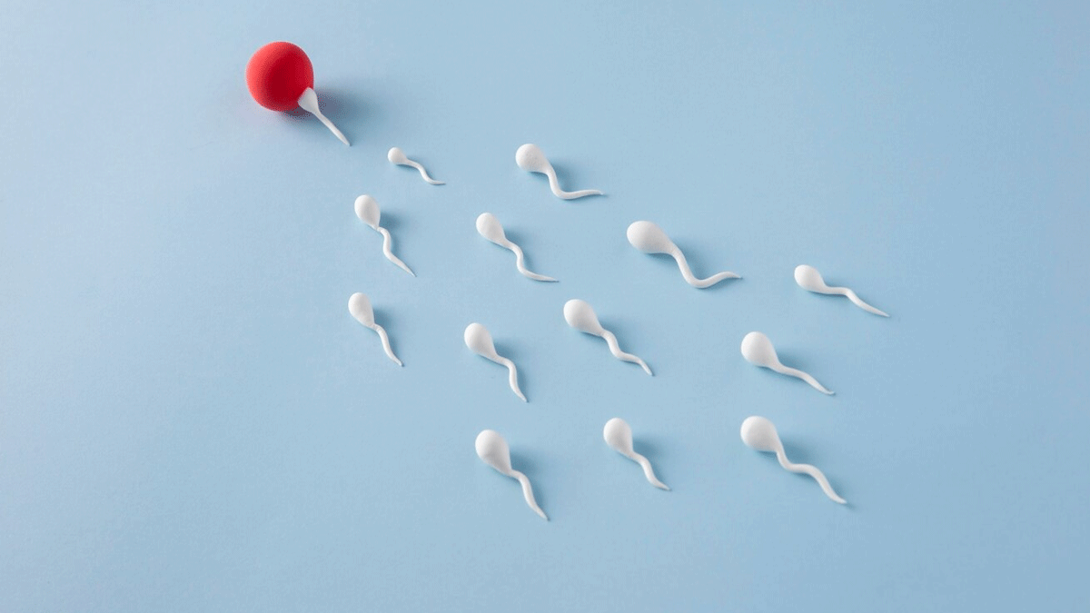 is pineapple good for sperm 01