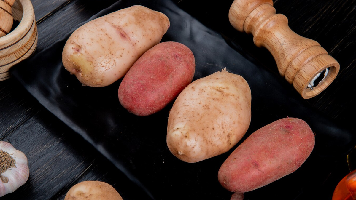 01 - 2024-12-20T121627.732