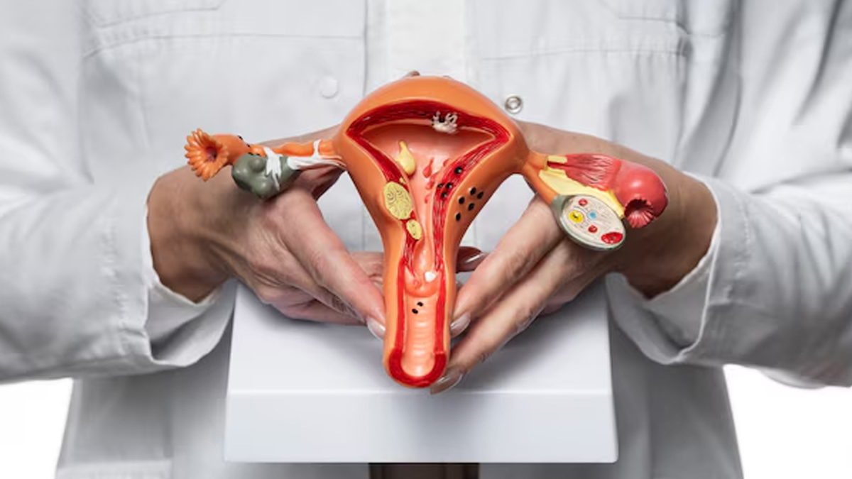 01 - 2024-12-20T192047.799