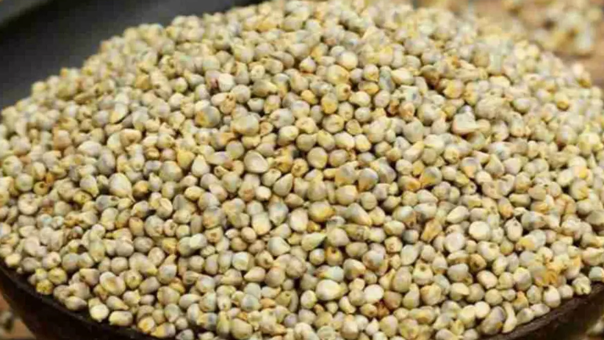 how-to-find-nakli-bajra-inside