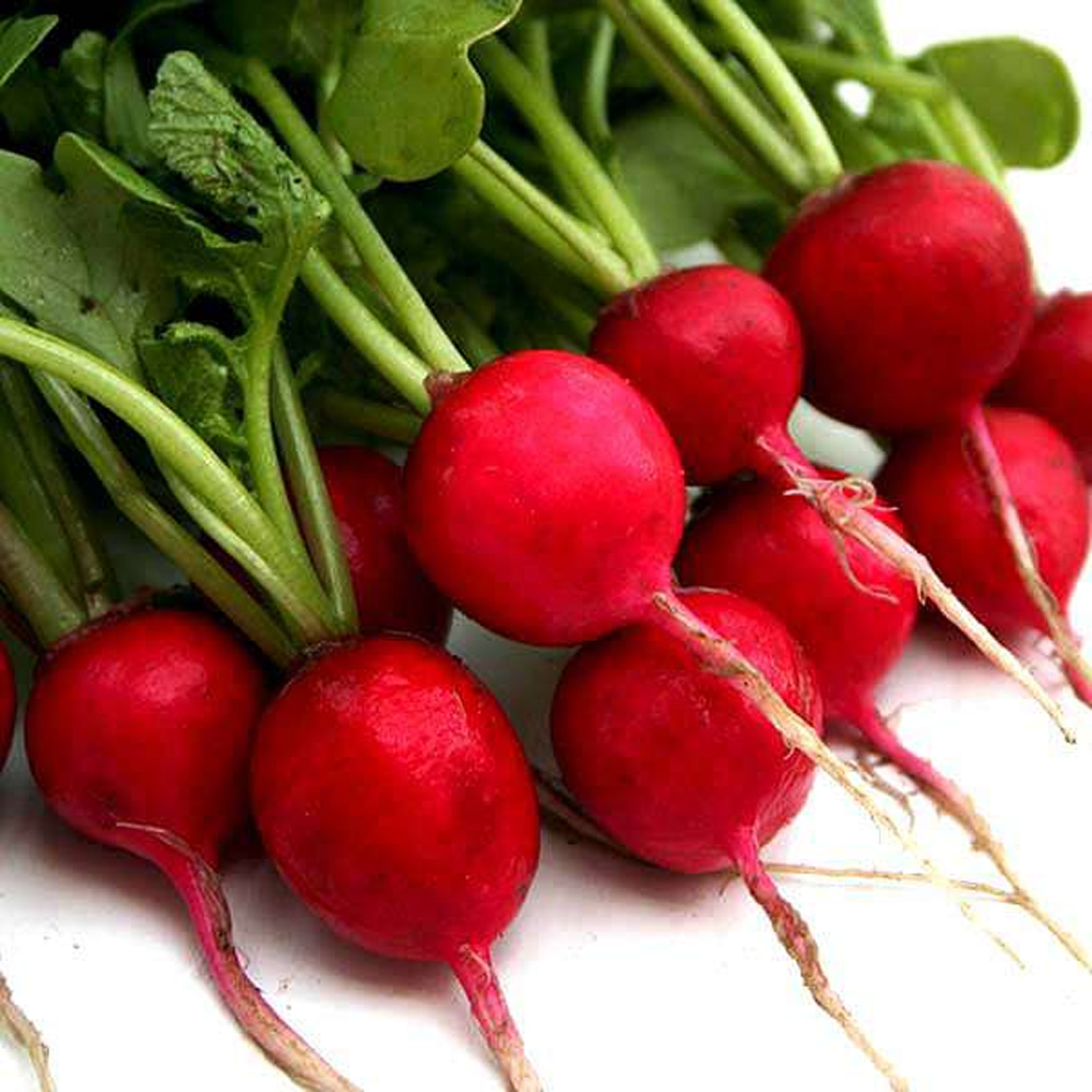 red radish red-radish-inside