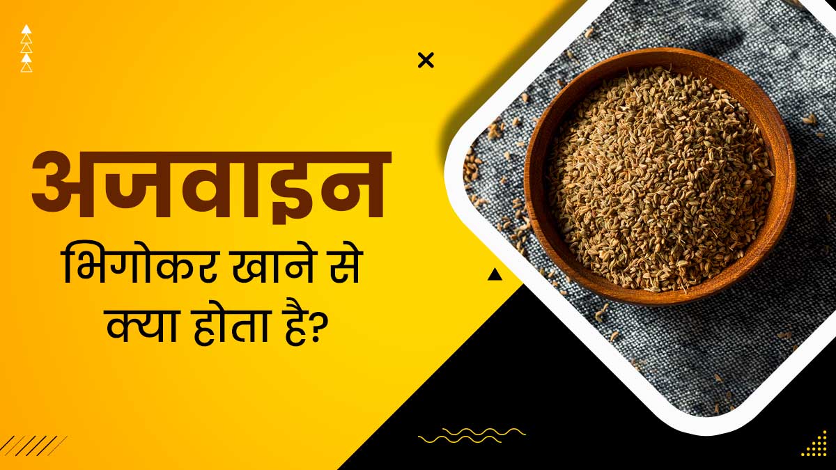 अजवाइन भिगोकर खाने से सेहत को मिलते हैं ये 5 फायदे, सर्दियों में खाना हो सकता है लाभकारी