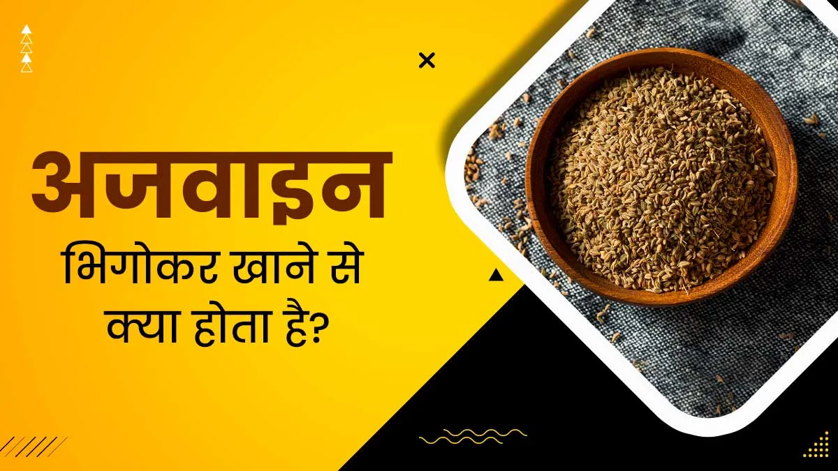 अजवाइन भिगोकर खाने से सेहत को मिलते हैं ये 5 फायदे, सर्दियों में खाना हो सकता है लाभकारी