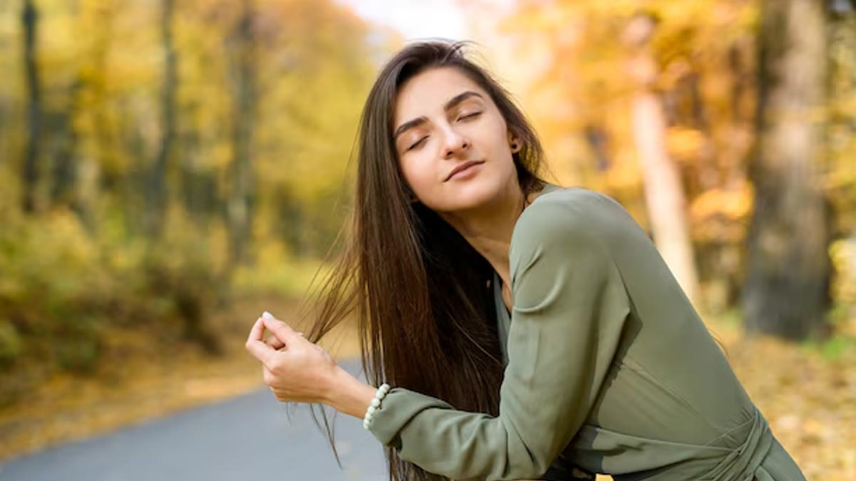 01 - 2024-12-24T172008.349