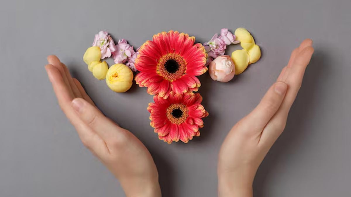 01 - 2024-12-24T185214.352