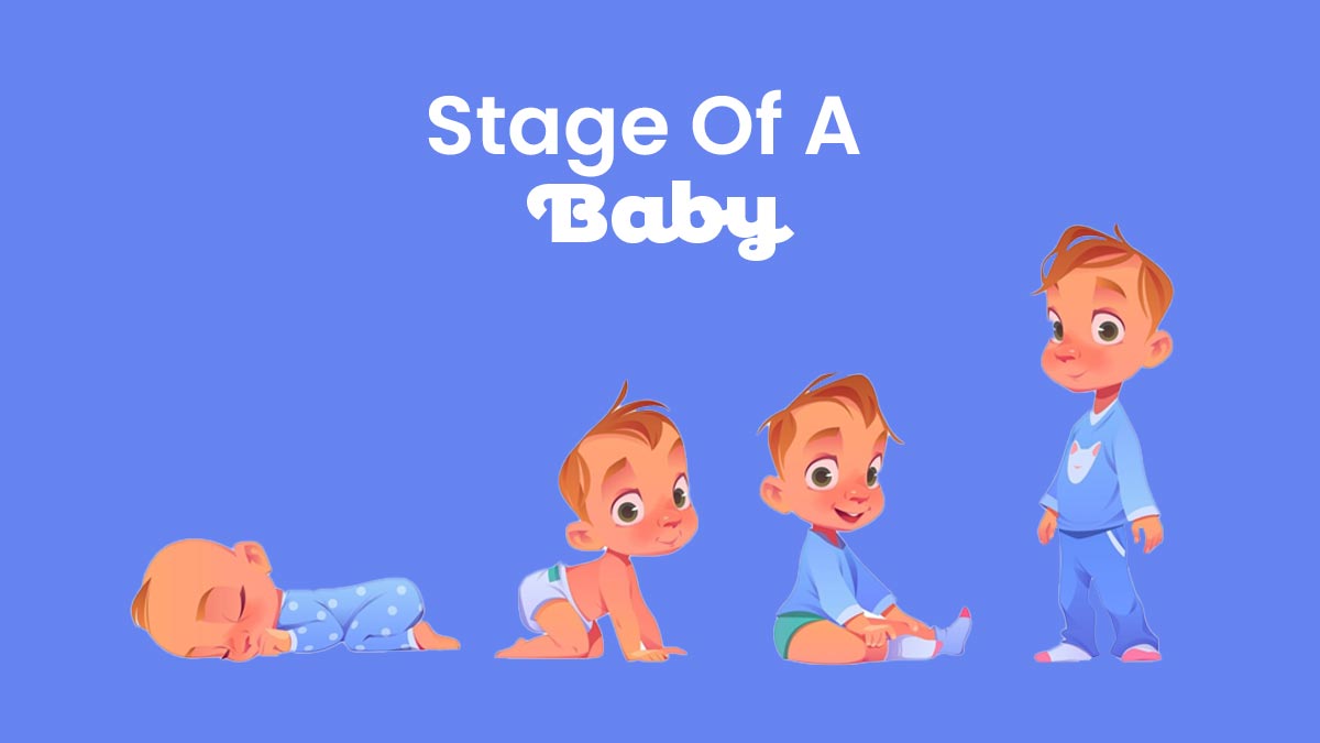 baby boy weight and height growth chart 02 (1)