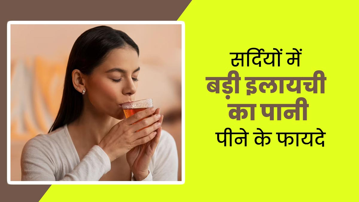 सर्दियों में बड़ी इलायची का पानी पीने से मिलते हैं ये 5 फायदे, जानें आयुर्वेदिक एक्सपर्ट से