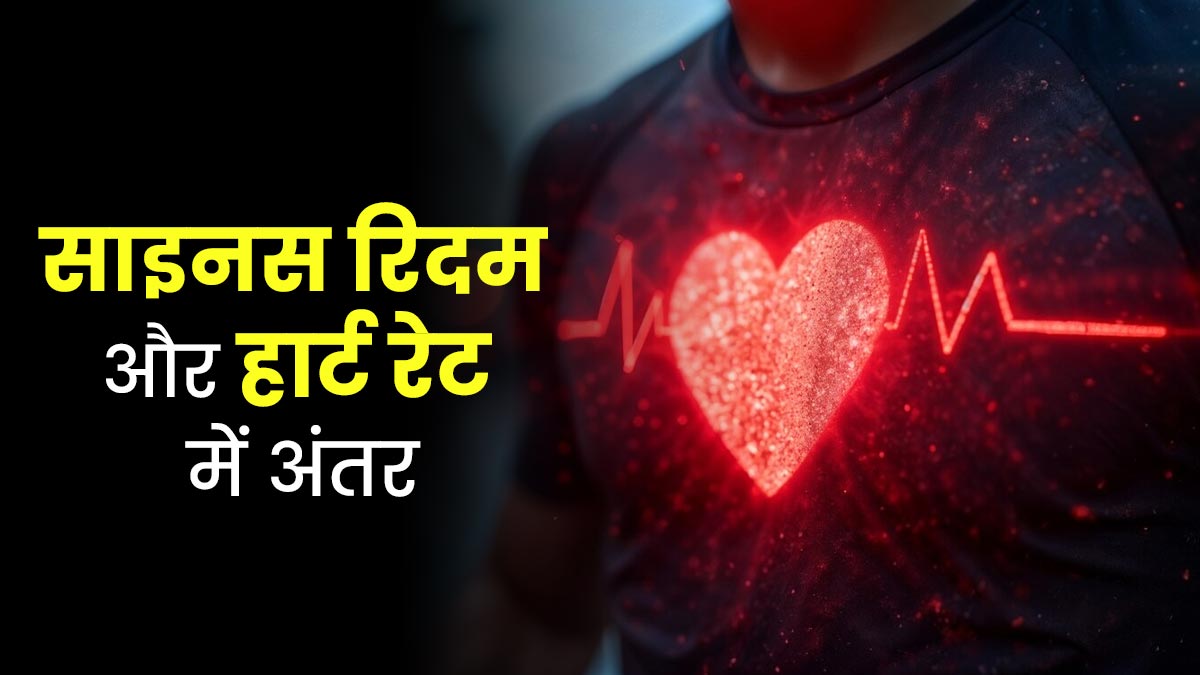 साइनस रिदम और हार्ट रेट में क्‍या अंतर होता है? डॉक्‍टर से जानें |  difference between sinus rhythm and heart rate explained by doctor in hindi  | OnlyMyHealth